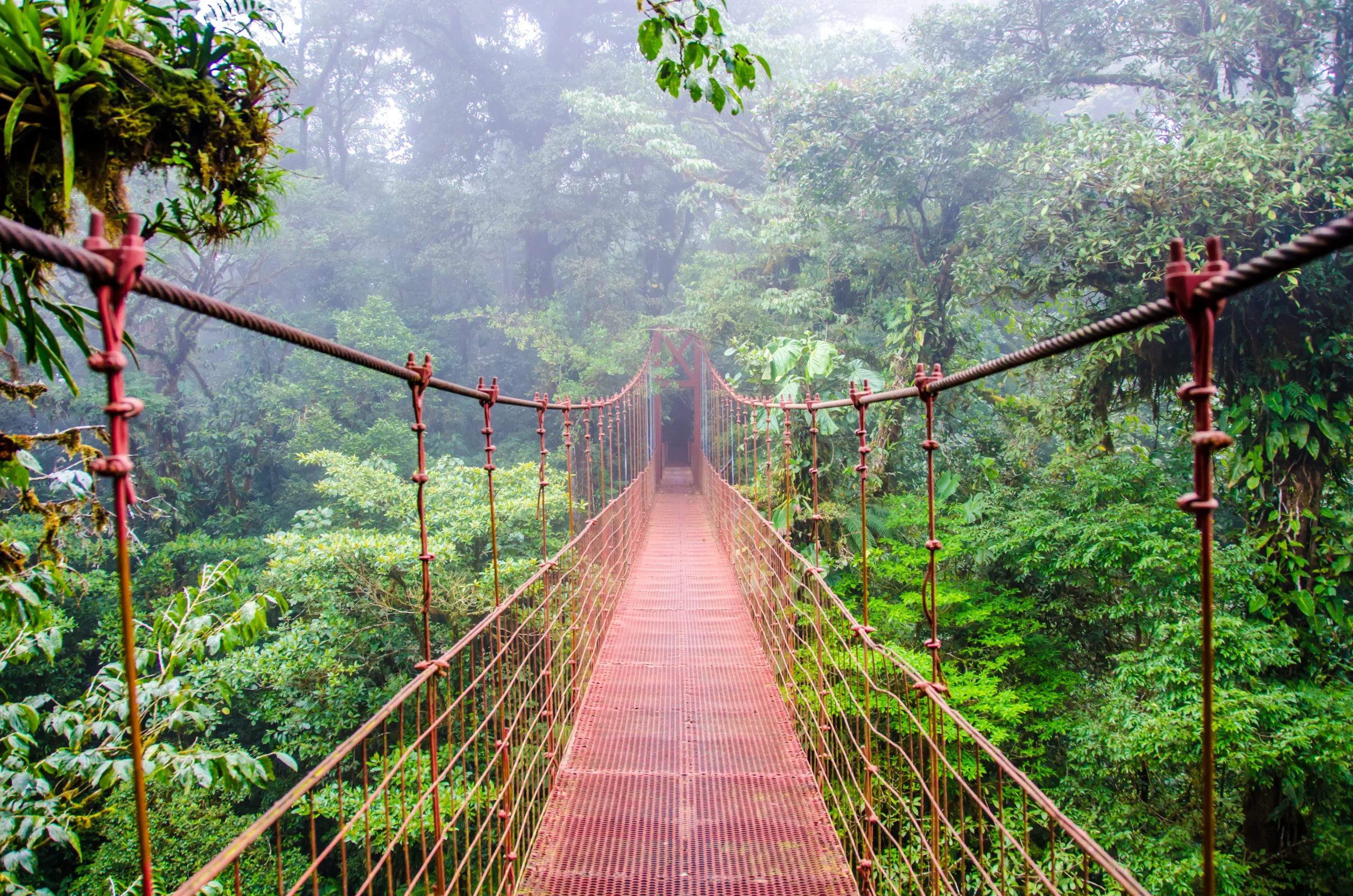Costa Rica: A Journey through Pura Vida and Natural Wonders