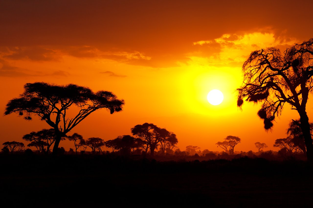 Kenya: A Safari Adventure through the Heart of Africa